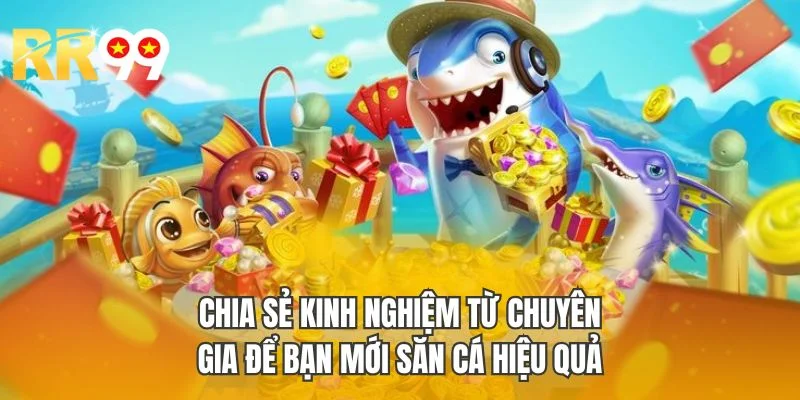 Chia sẻ kinh nghiệm từ chuyên gia để bạn mới săn cá hiệu quả