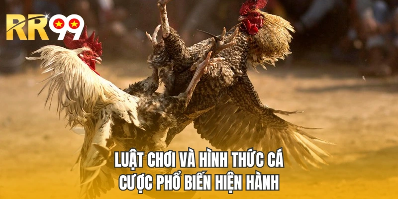 Luật chơi và hình thức cá cược phổ biến hiện hành